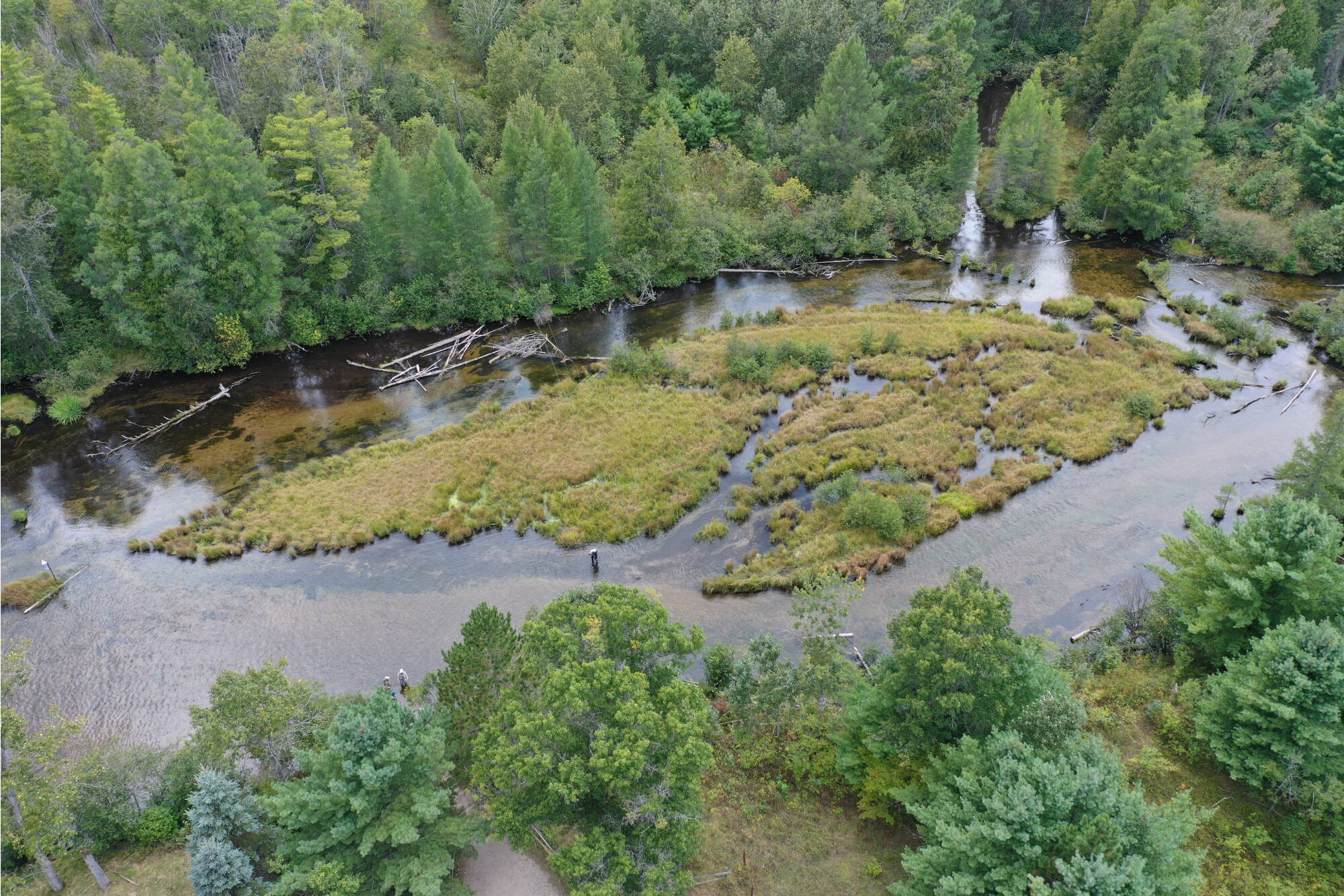 A cluster of small islands in the Au Sable River, flanked by evergreen forest.